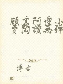 顾寒阿傻小说免费阅读无弹窗封面