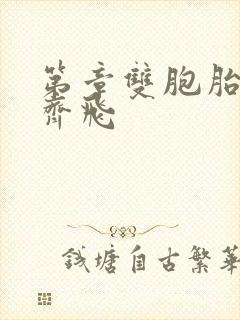 第章双胞胎姐妹齐飞