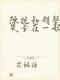 陈挽和赵声阁第几章在一起封面