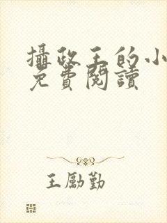 摄政王的小宠妃免费阅读