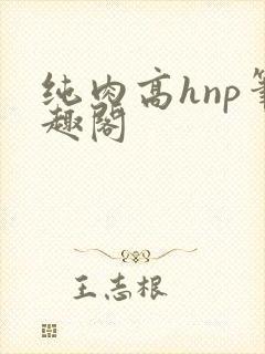 纯肉高hnp笔趣阁封面