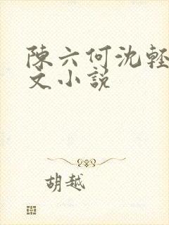 陈六何沈轻舞全文小说封面