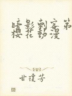 暗影刺客第五季樱花动漫封面