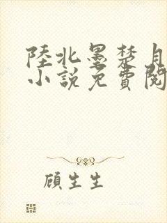 陆北墨楚月离的小说免费阅读无弹窗封面