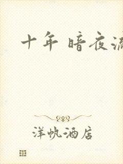 十年 暗夜流光