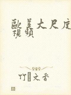 欧美大尺度做爰视频