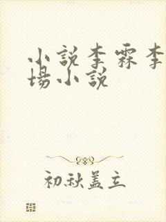 小说李霖李澜官场小说