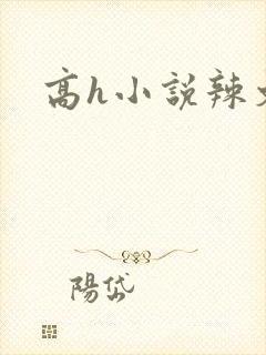 高h小说辣文