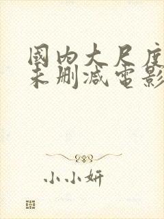 国内大尺度做爰未删减电影封面