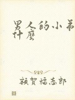 男人的小弟弟是什么