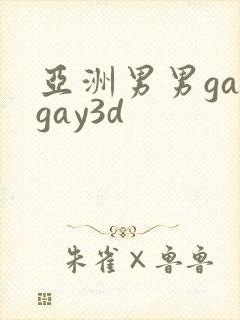 亚洲男男gaygay3d封面