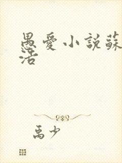 愚爱小说苏倩孙浩