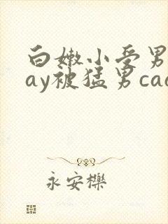 白嫩小受男男gay被猛男cao封面