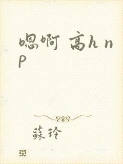 嗯啊 高h np
