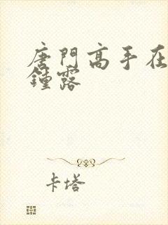 唐门高手在异世钟露封面