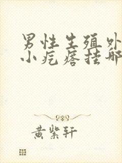 男性生殖外皮有小疙瘩挂哪个科室