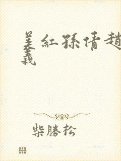 美红孙倩赵振高义