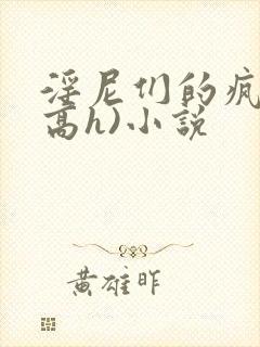 淫尼们的疯狂(高h)小说封面