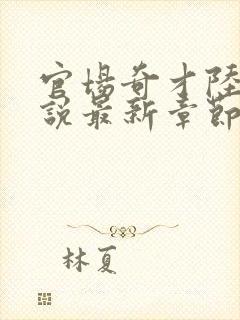 官场奇才陆羽小说最新章节