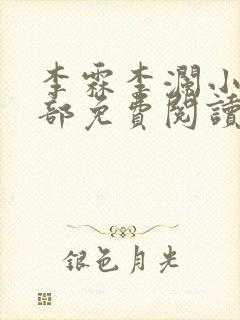 李霖李澜小说全部免费阅读封面