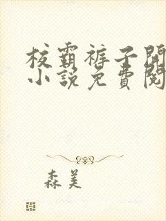 校霸裤子开档后小说免费阅读笔趣阁