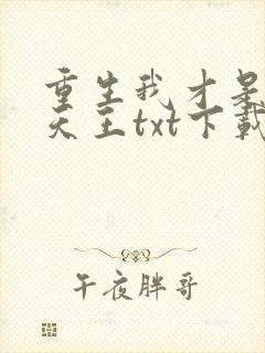 重生我才是娱乐天王txt下载