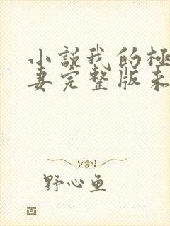 小说我的极品娇妻完整版未删减小说