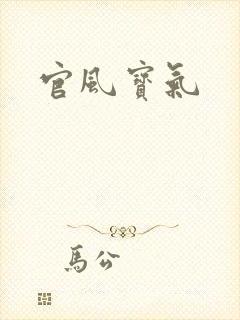 官风宝气封面