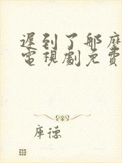 迟到了那么多年电视剧免费观看第17集