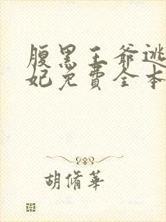 腹黑王爷逃跑王妃免费全本小说封面