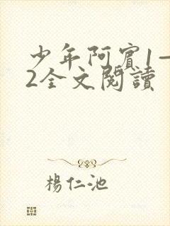 少年阿宾1—72全文阅读封面