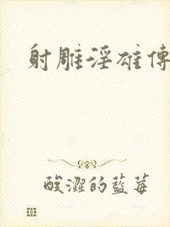 射雕淫雄传封面