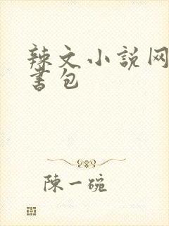 辣文小说网第二书包