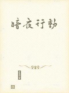 暗夜行动