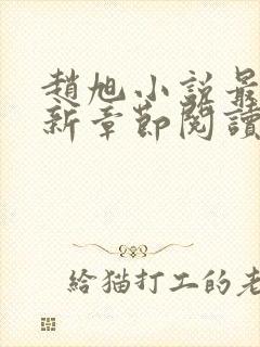 赵旭小说最新更新章节阅读免费