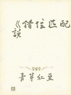 《错位匹配》小说