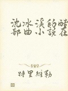 沈冰溪的酷刑三部曲小说在线阅读