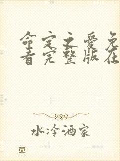 命定之爱免费观看完整版在线全集