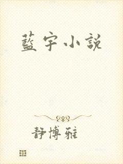 蓝宇小说