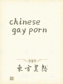 chinese gay porn