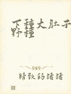 下种大肚子怀孕野种