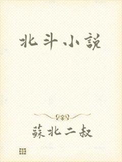 北斗小说