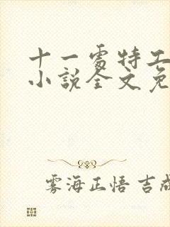 十一处特工皇妃小说全文免费阅读