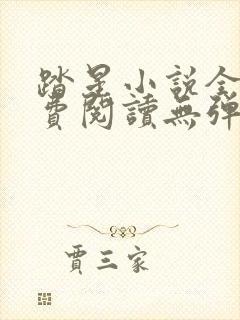 踏星小说全文免费阅读无弹窗