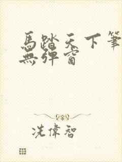马踏天下笔趣阁无弹窗封面