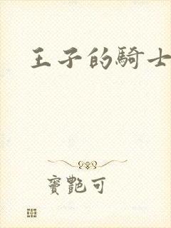 王子的骑士小说