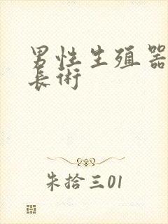 男性生殖器官延长术封面