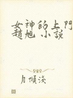 女神的上门豪婿赵旭 小说