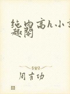 纯肉高h小说笔趣阁