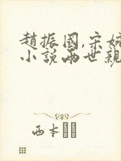 赵振国,宋婉清小说两世亲情